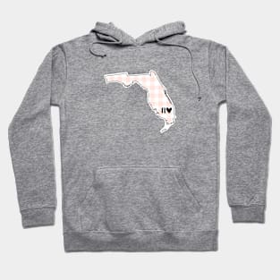 USA States: Florida (pink plaid) Hoodie